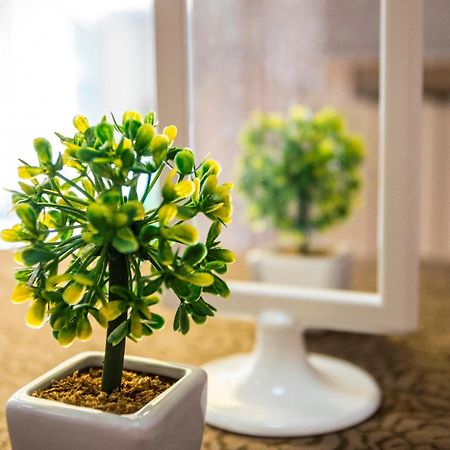 Hotel Nuovo Fiore Cattolica Eksteriør bilde